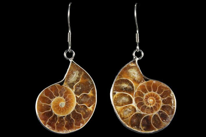 Fossil Ammonite Earrings #112231